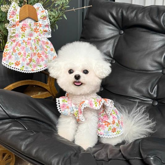 Corgi Labrador Doggy Skirt Pink Summer Thin Clothing