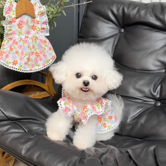 Corgi Labrador Doggy Skirt Pink Summer Thin Clothing